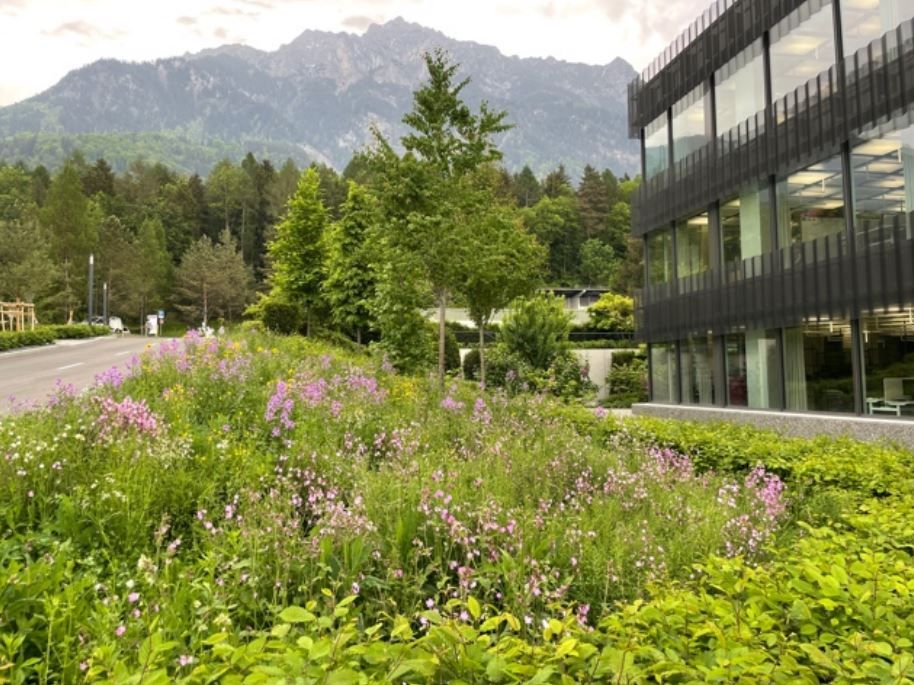 Hilti’s nature-oriented campus receives certification